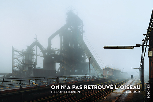 On n'a pas retrouvé l'oiseau